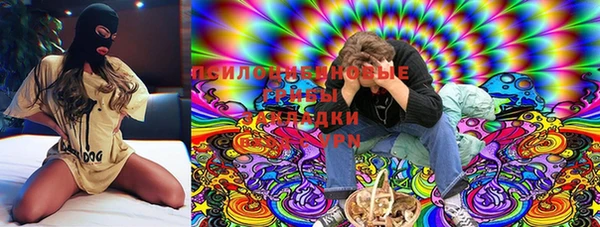 тгк Кулебаки
