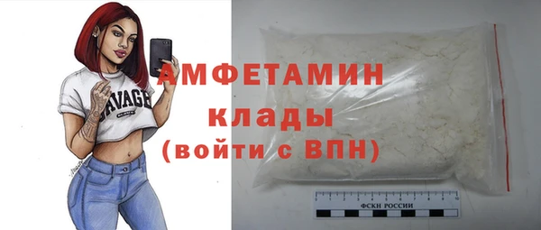 шишки Костерёво