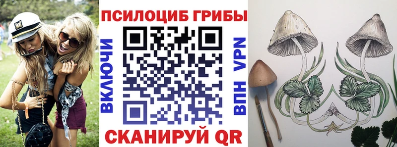 Псилоцибиновые грибы ЛСД  Елец 